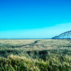Government-Supported Credit: Driving Efficiency and Resilience in Farming